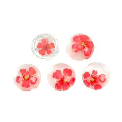 Cabochon, Dome, Seals, Round, Resin, Dried Flowers, Red, Transparent, 12mm