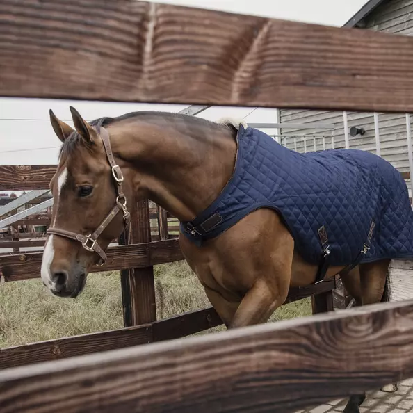 Kentucky Walker Rug - Navy