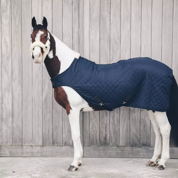 Kentucky Walker Rug - Navy