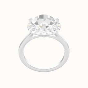 Split Cathedral Engagement Ring With Petal Prong Halo Head