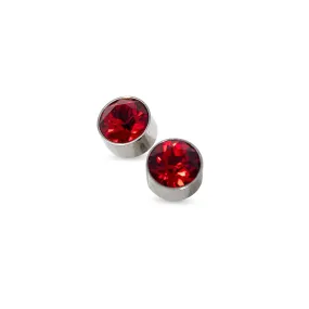 Stainless Steel Stud Earring January Birthstone